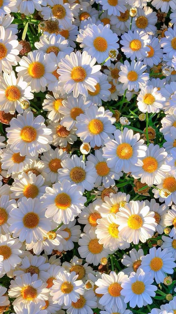 Secret Garden's Tranquil Embrace Bunch